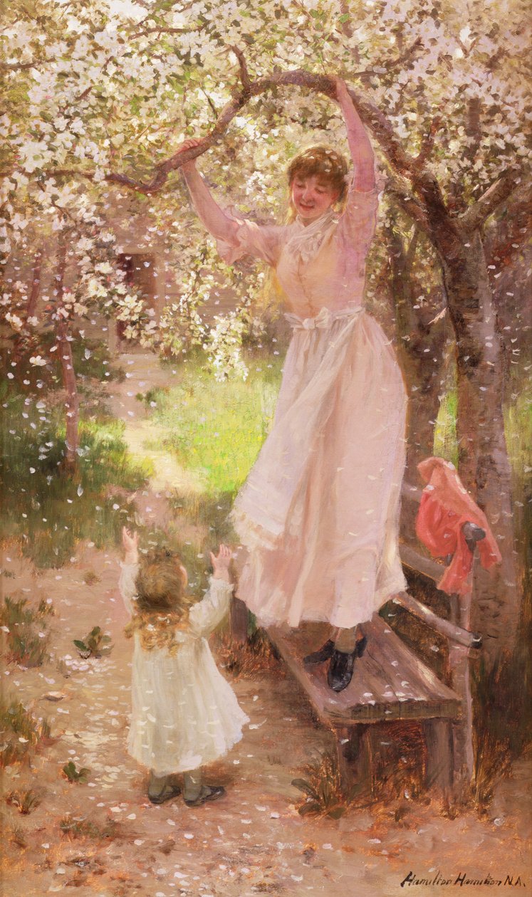 Fallande äppelblommor av Hamilton Hamilton