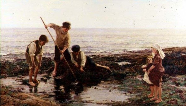 Räkor av Hamilton Macallum