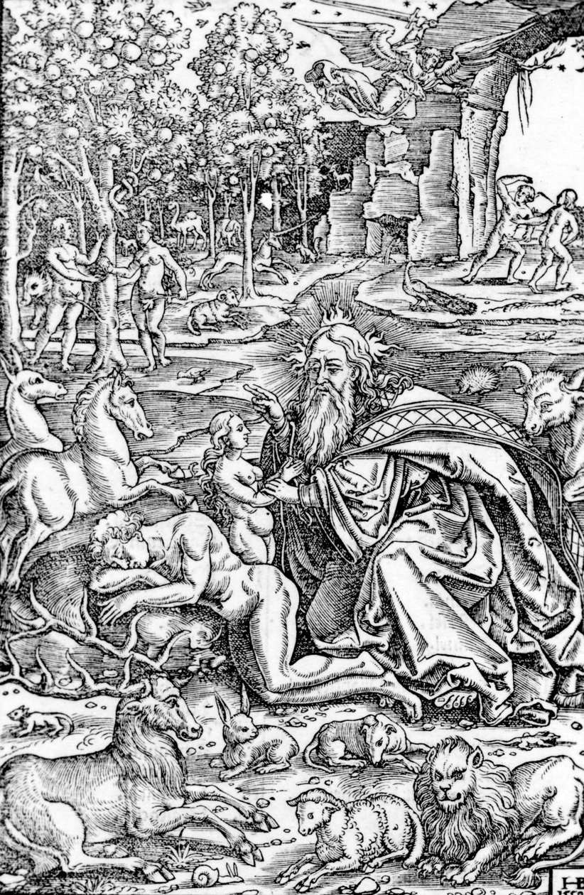 Evas skapelse, från Lutherbibeln, 1550 av Hans Brosamer