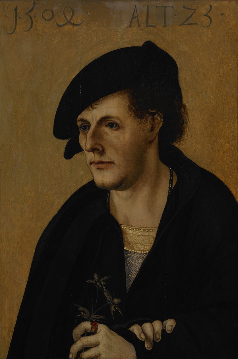 Portrait of a Young Man av Hans Leonhard Schäufelein