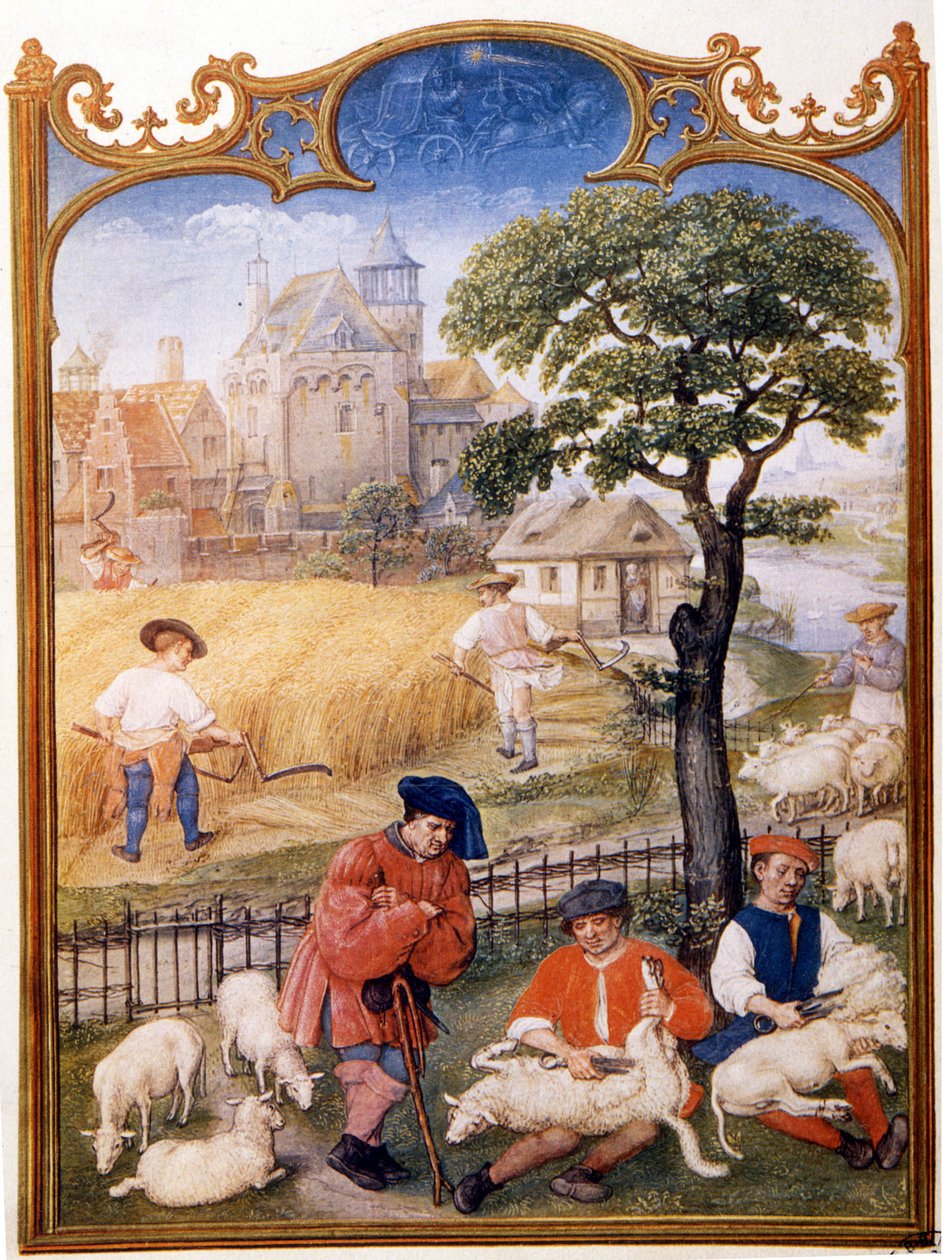 Fältarbete, klippning av får och bönder klipper vete. Miniatyr tilldelad till Memling. Tallrik tagen från Breviaire Grimani från 1400-talet. Biblioteca Marciana, venise. av Hans (attr.to) Memling