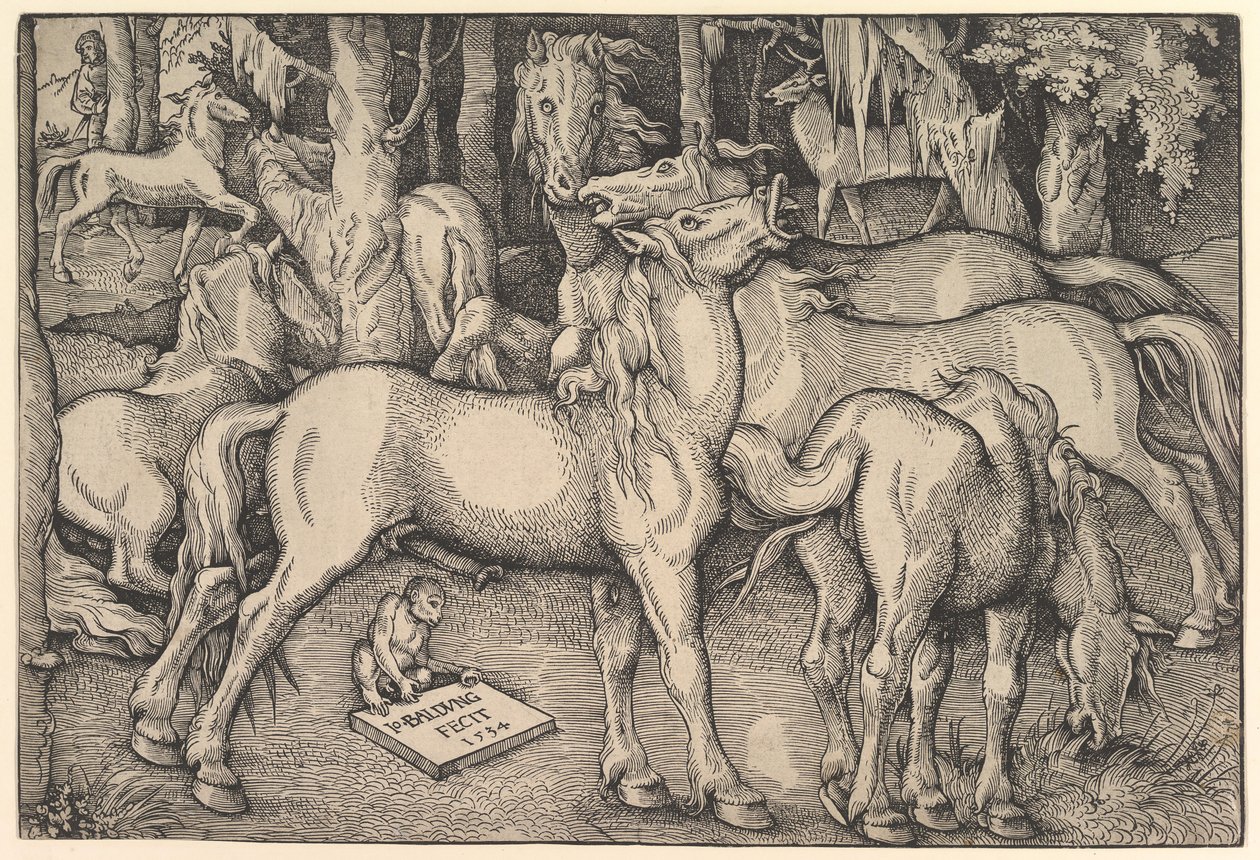 Grupp med sju hästar, 1534. av Hans Baldung