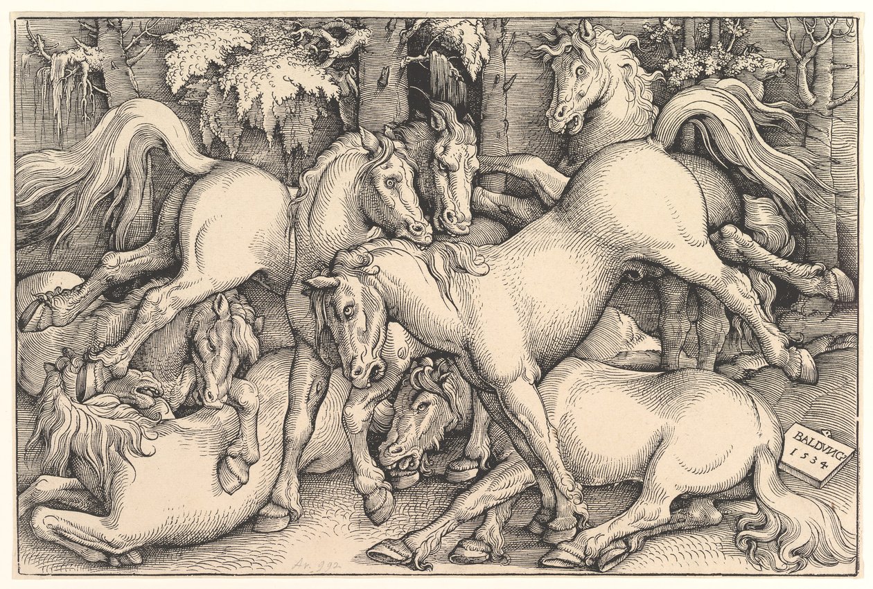 Grupp med sju hästar, 1534. av Hans Baldung