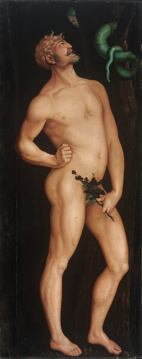 Adam av Hans Baldung Grien