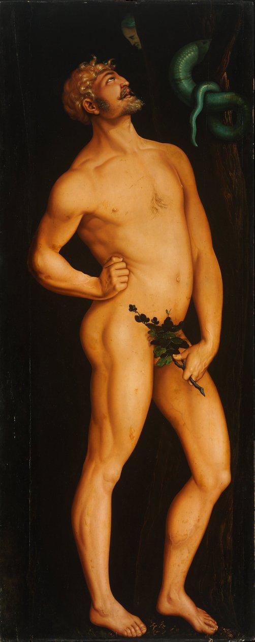 Adam - Peinture de Hans Baldung (1484-1545) - 1525-1526 - Olja på trä - 208,5x83,5 - Szepmuveszeti Muzeum, Budapest av Hans Baldung Grien