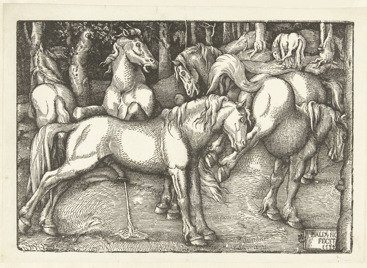 Grupp om sex kamphästar av Hans Baldung Grien