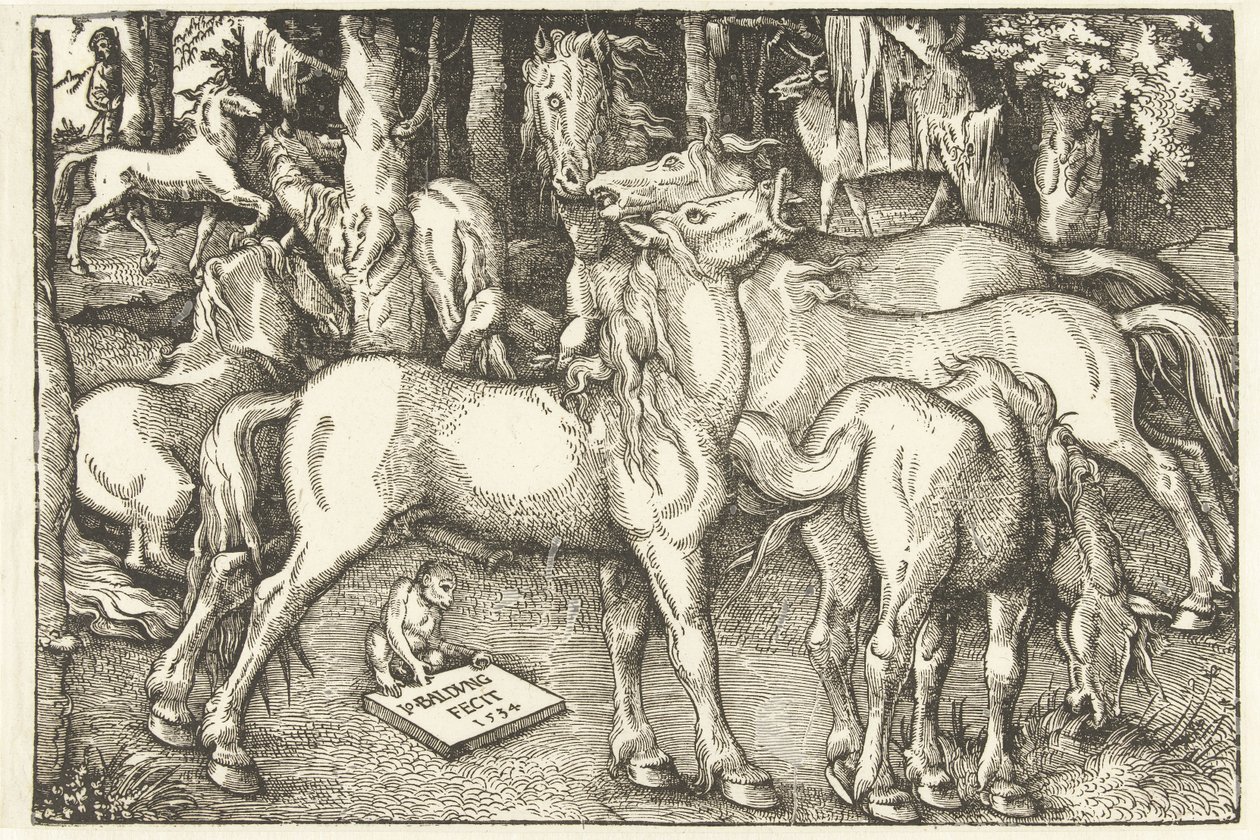 Grupp om sju hästar och en apa av Hans Baldung Grien