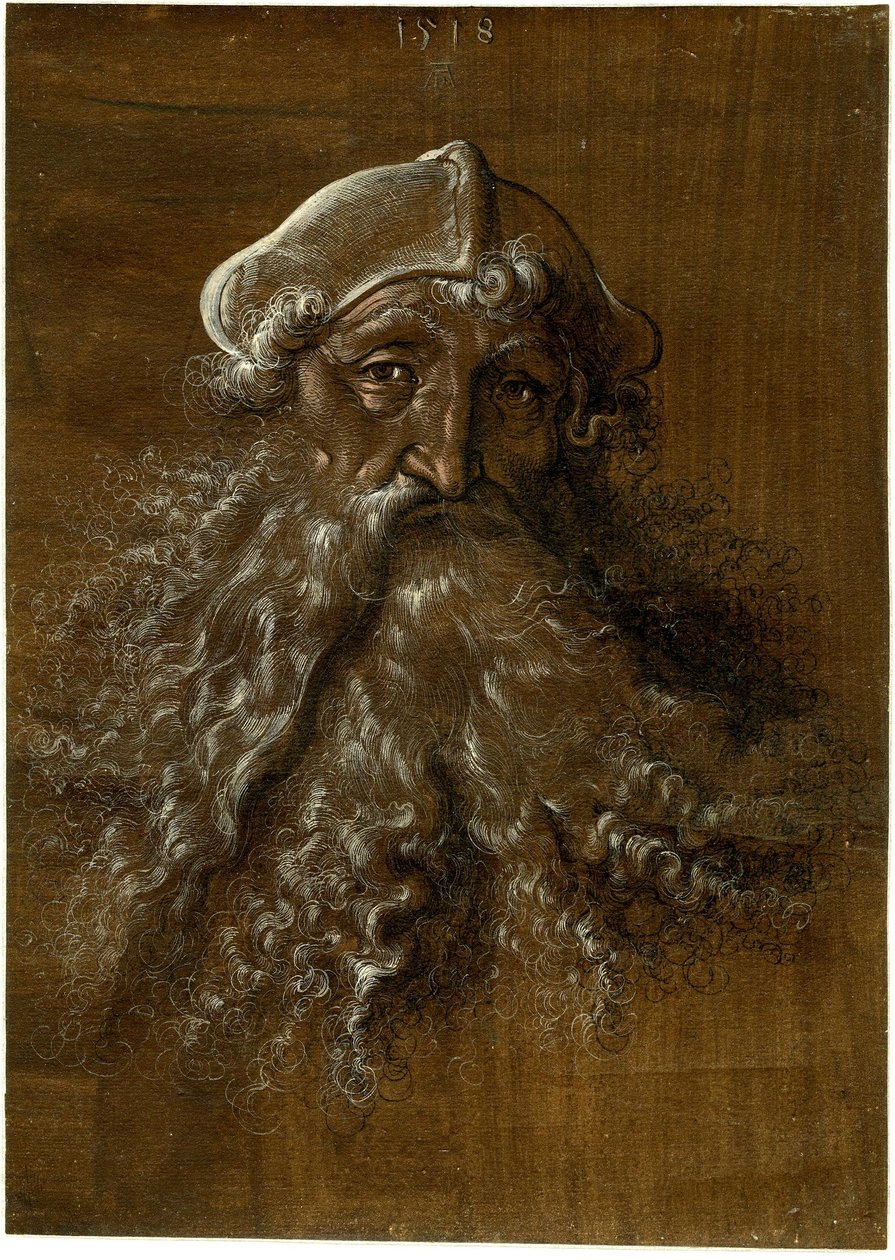 Huvud av en gammal man med kraftigt skägg av Hans Baldung Grien
