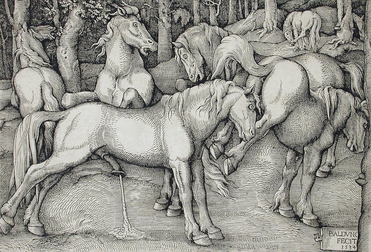 En hingst och en stona som sparkar mitt i en flock vildhästar i skogen av Hans Baldung Grien