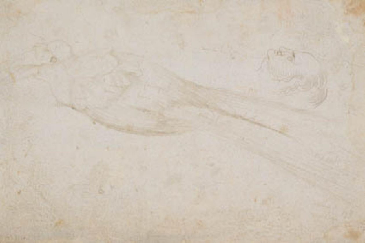 Paradisfågelman och huvudet på en medelålders man i profil till vänster; även detaljer om av Hans Baldung Grien