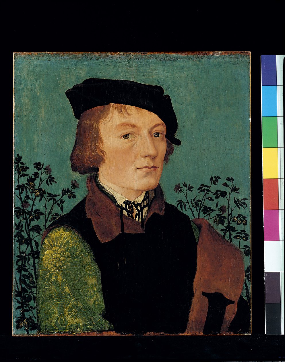 Porträtt av en man framför en rosenhäck (olja på trä) av Hans Baldung Grien