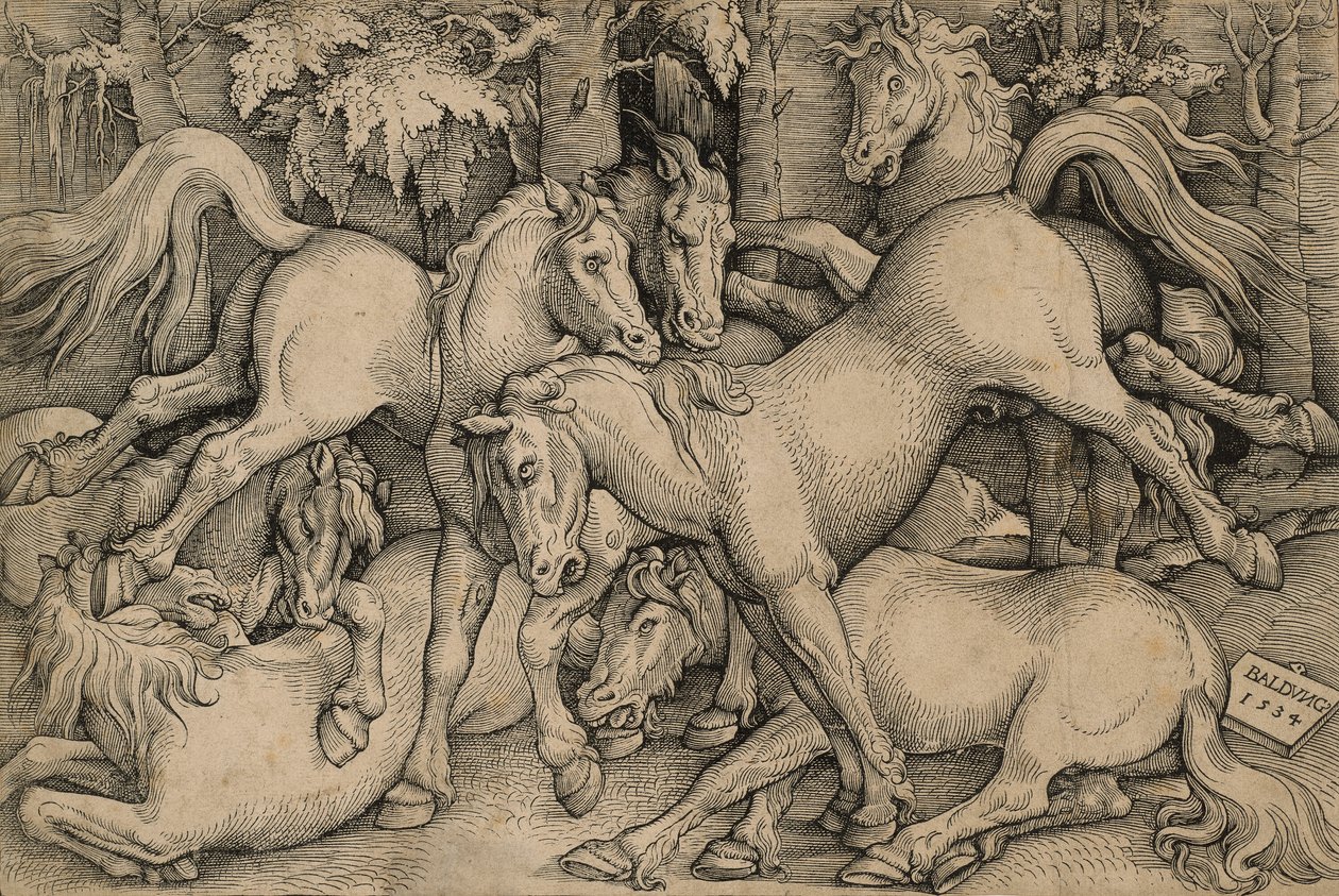 Vilda hästar slåss av Hans Baldung Grien