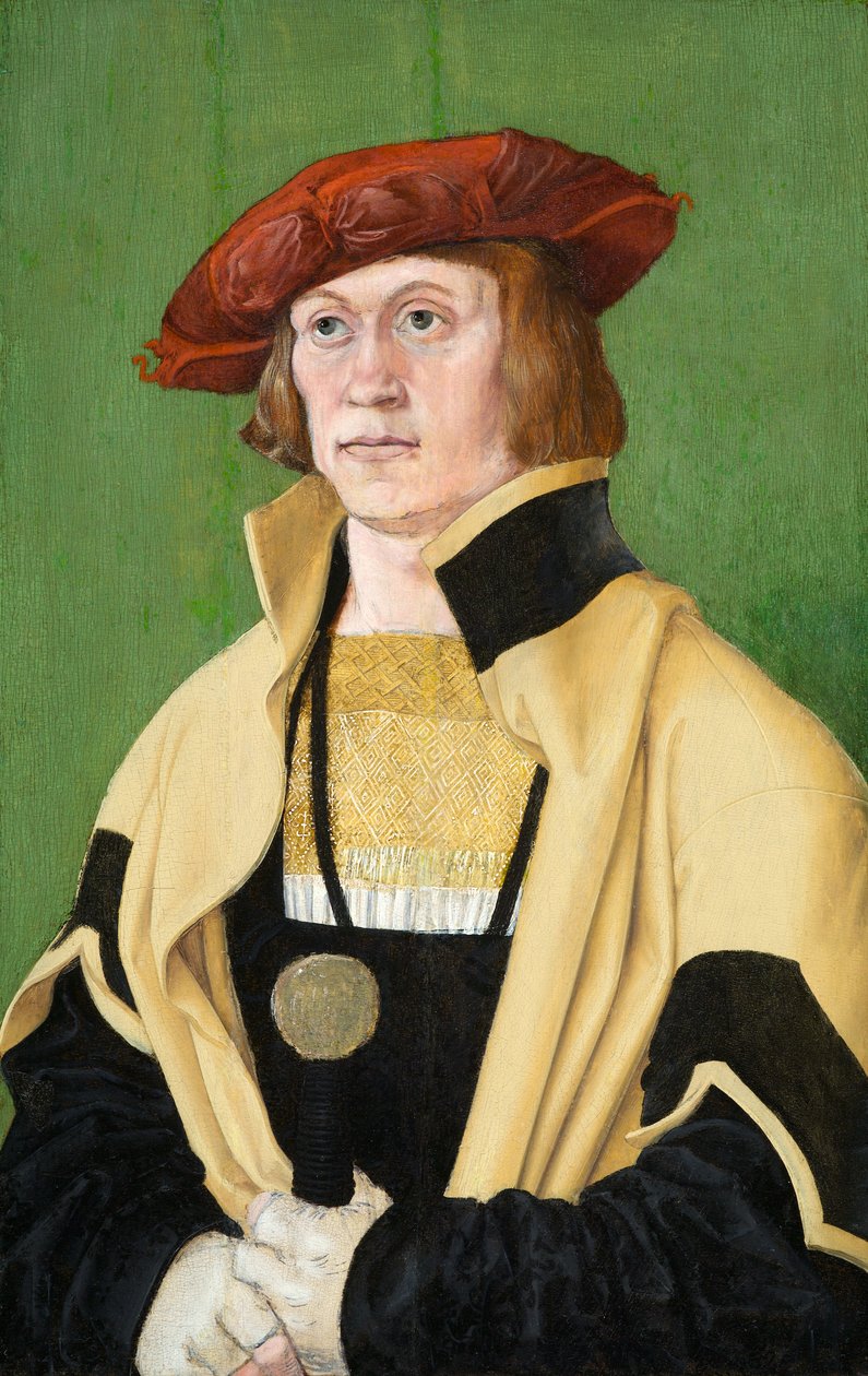 Porträtt av en man, cirka 1520 (olja på panel) av Hans Brosamer