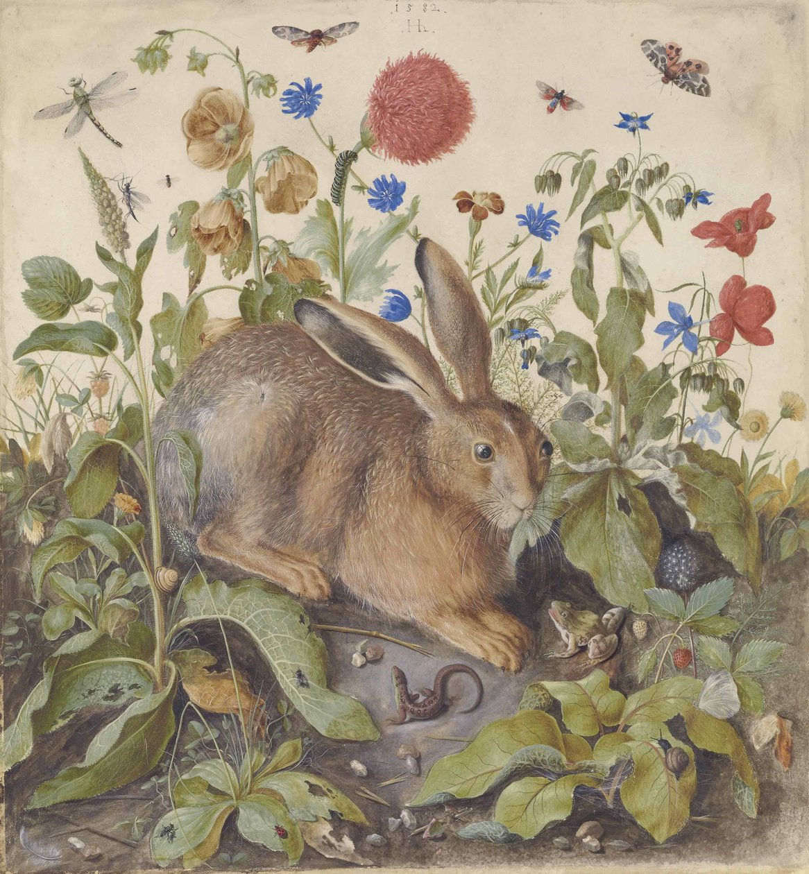 En hare bland växter, 1582 av Hans Hoffmann
