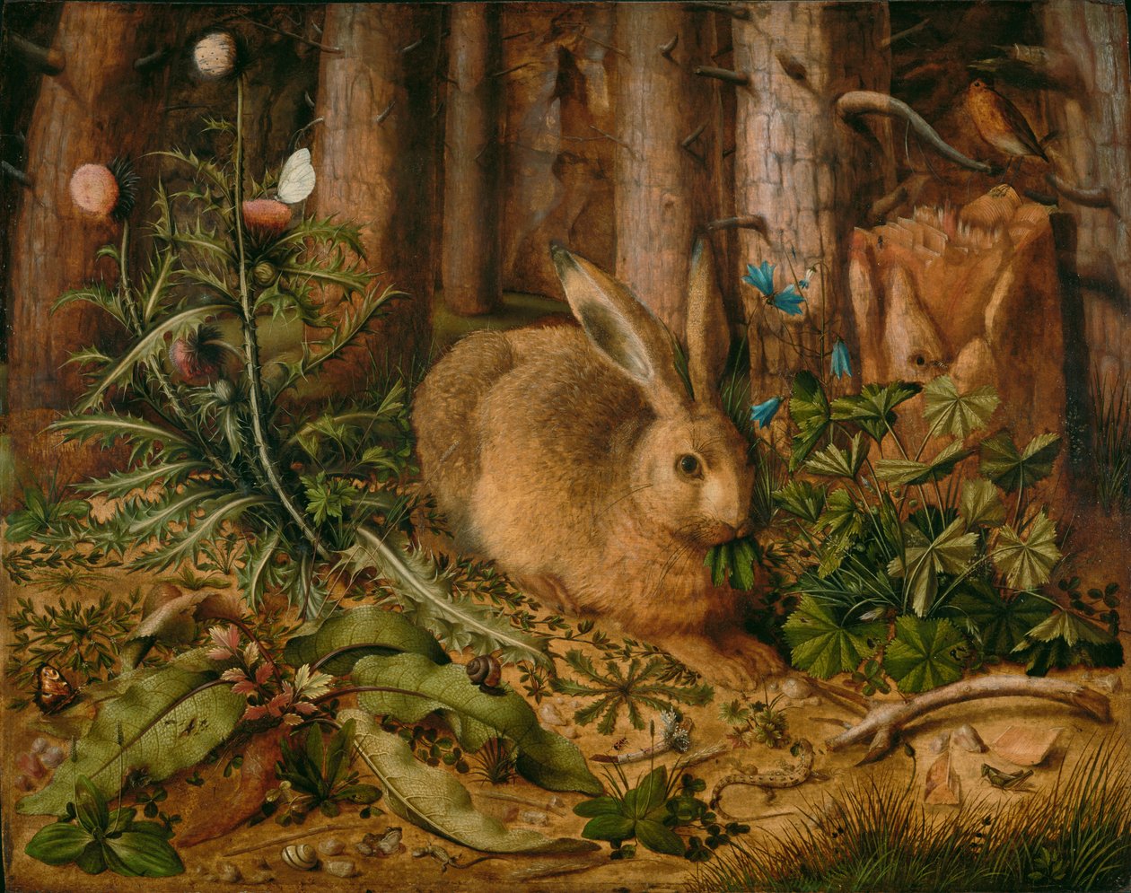 En hare i skogen av Hans Hoffmann