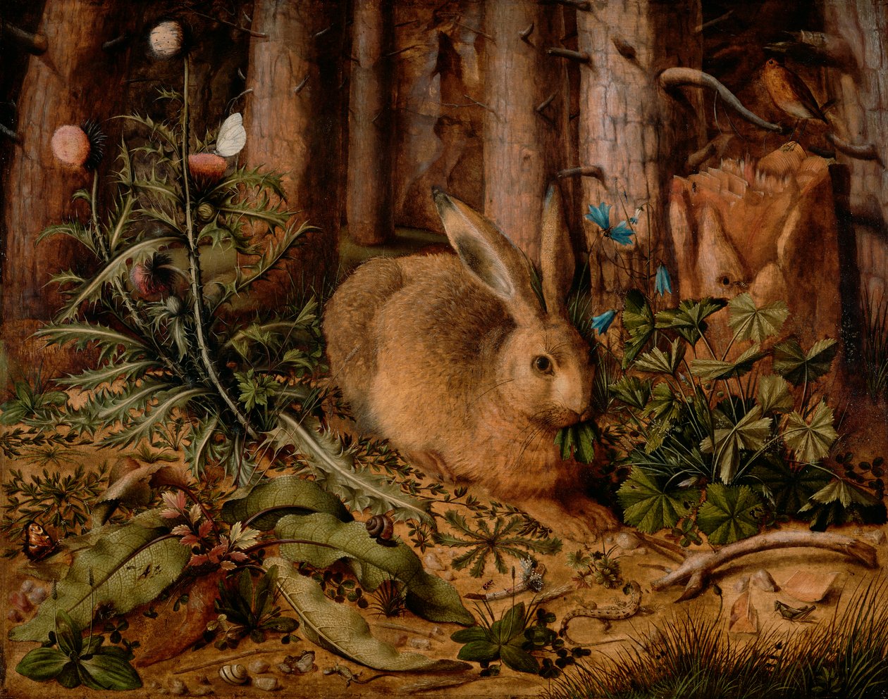 En hare i skogen, ca. 1585 (olja på panel) av Hans Hoffmann