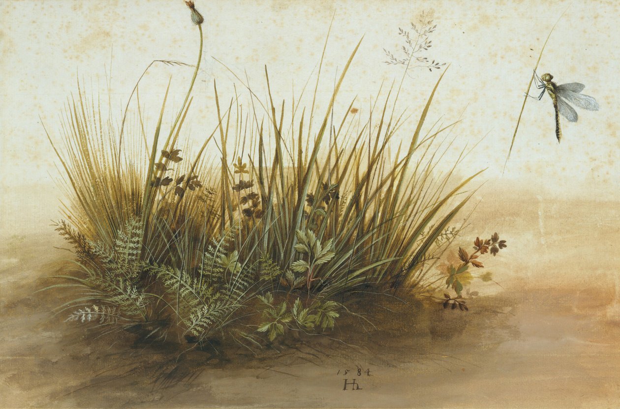 Ett litet stycke torv, 1584. av Hans Hoffmann
