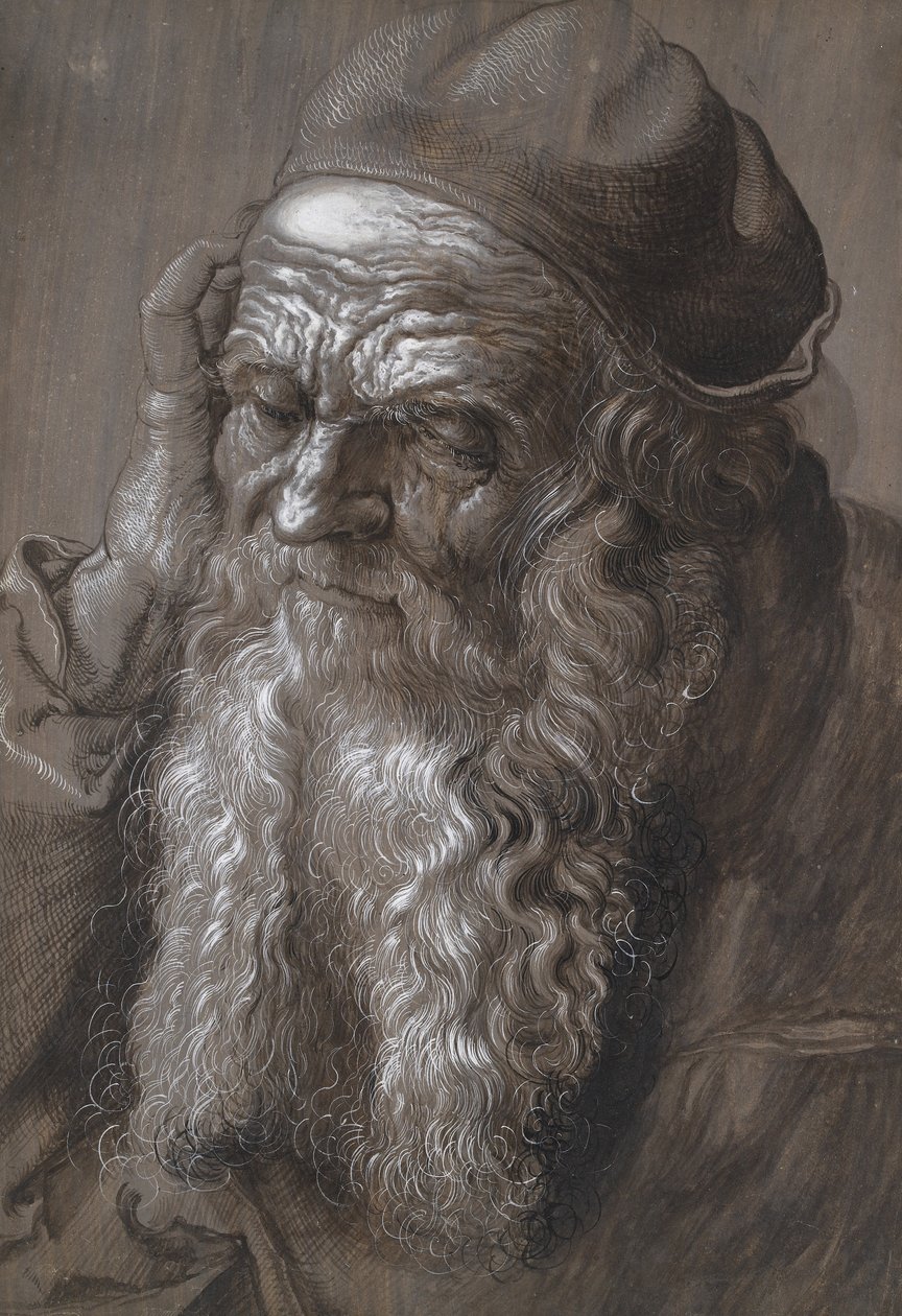 En gammal man i åldern 93: St Jerome (pensel och bläck) av Hans Hoffmann