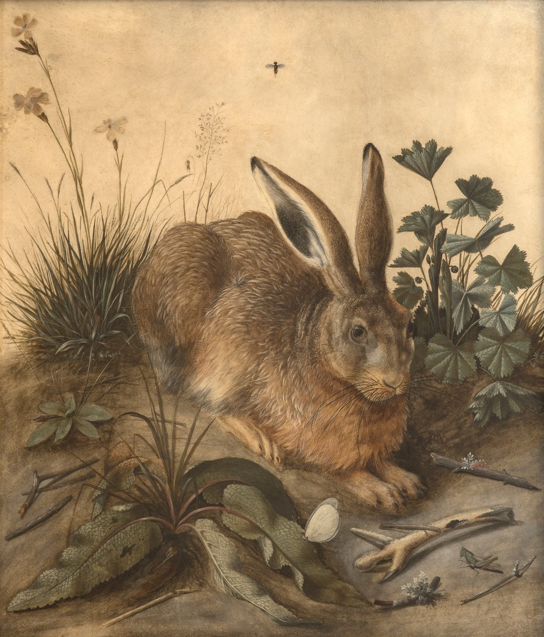 Haren av Hans Hoffmann
