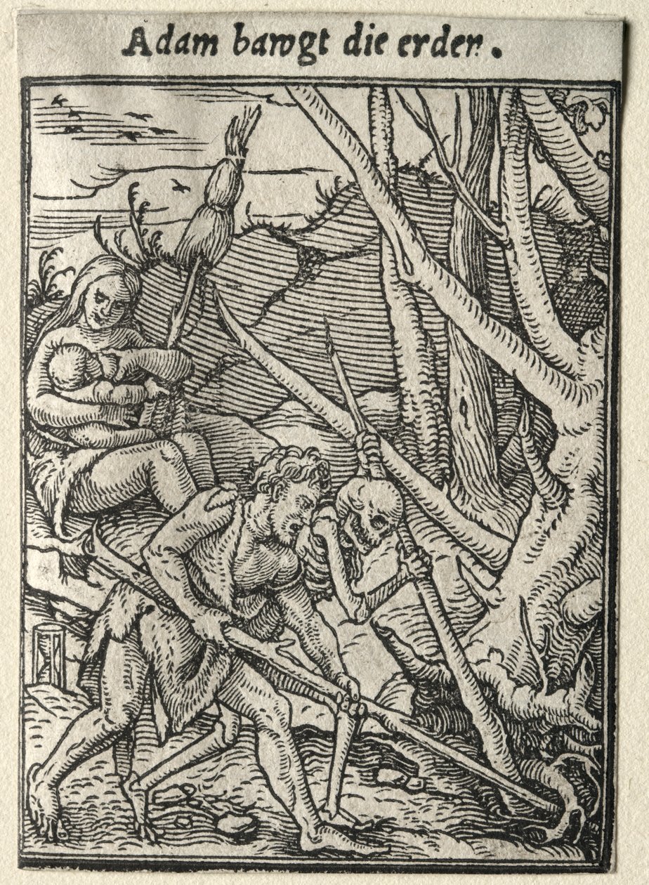 Dödsdansen: Adam Tilling the Ground. av Hans Holbein