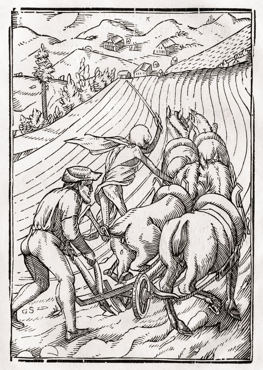 Döden kommer för bonden eller husbonden, graverad av Georg Scharffenberg, ur "Der Todten Tanz", utgiven i Basel 1843. av Hans Holbein der Jüngere