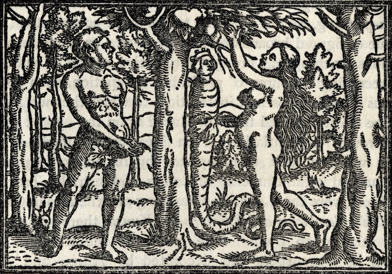 Adams och Evas fall, från "En katalog över en samling gravyrer, etsningar och träsnitt", av Richard Fisher, publicerad 1879 av Hans Holbein der Jüngere