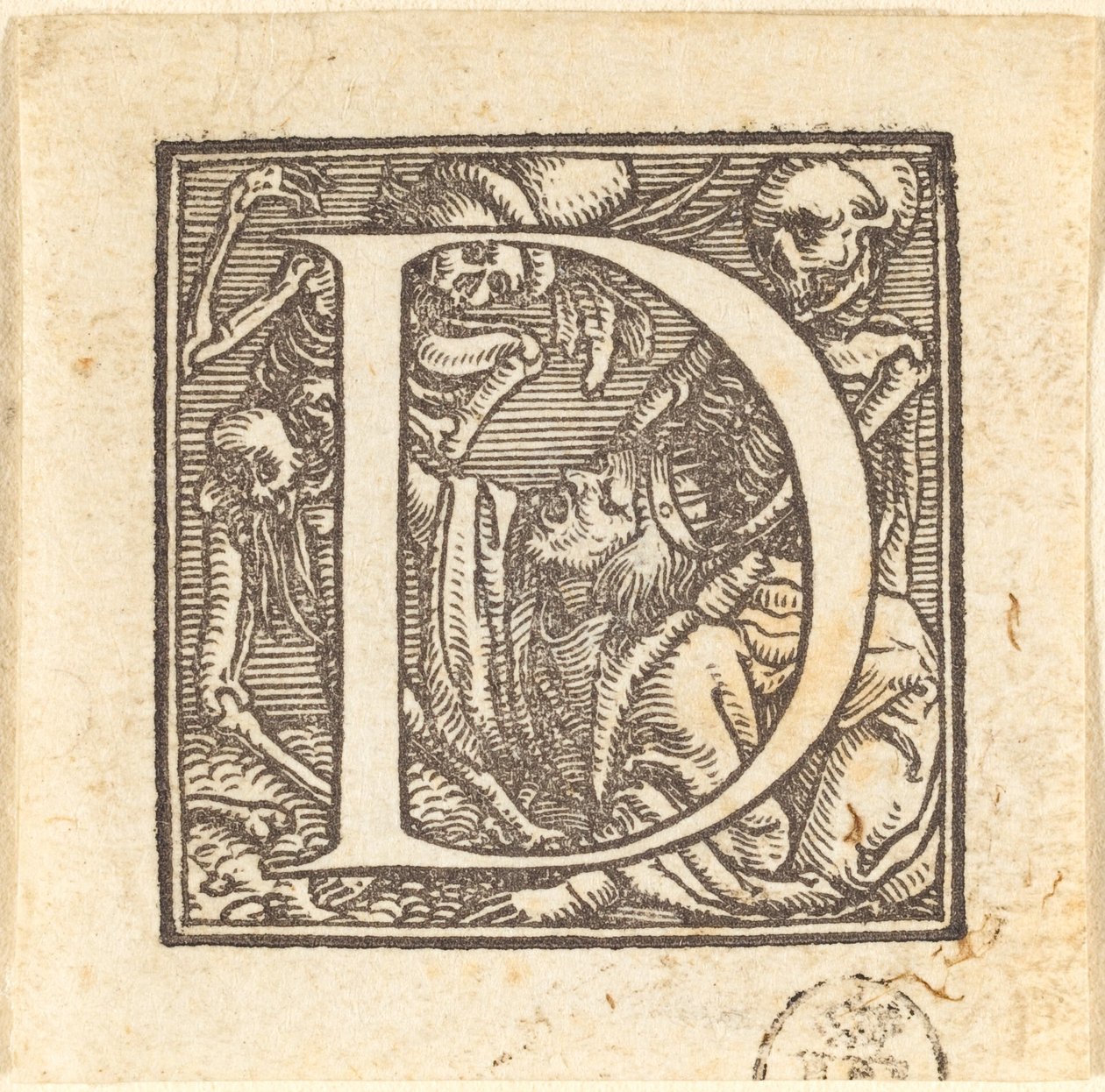 Bokstaven D av Hans Holbein der Jüngere