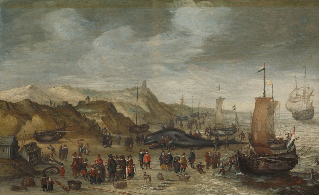 En kaskelot spolades upp på stranden i Noordwijk den 28 december 1614 av Hans Savery (I) (attributed to)
