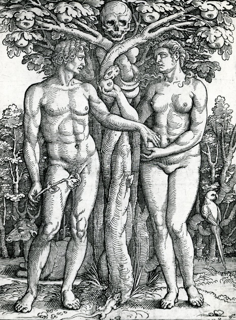 Adams och Evas fall, ca 1525-27 (träsnitt) av Hans Sebald Beham