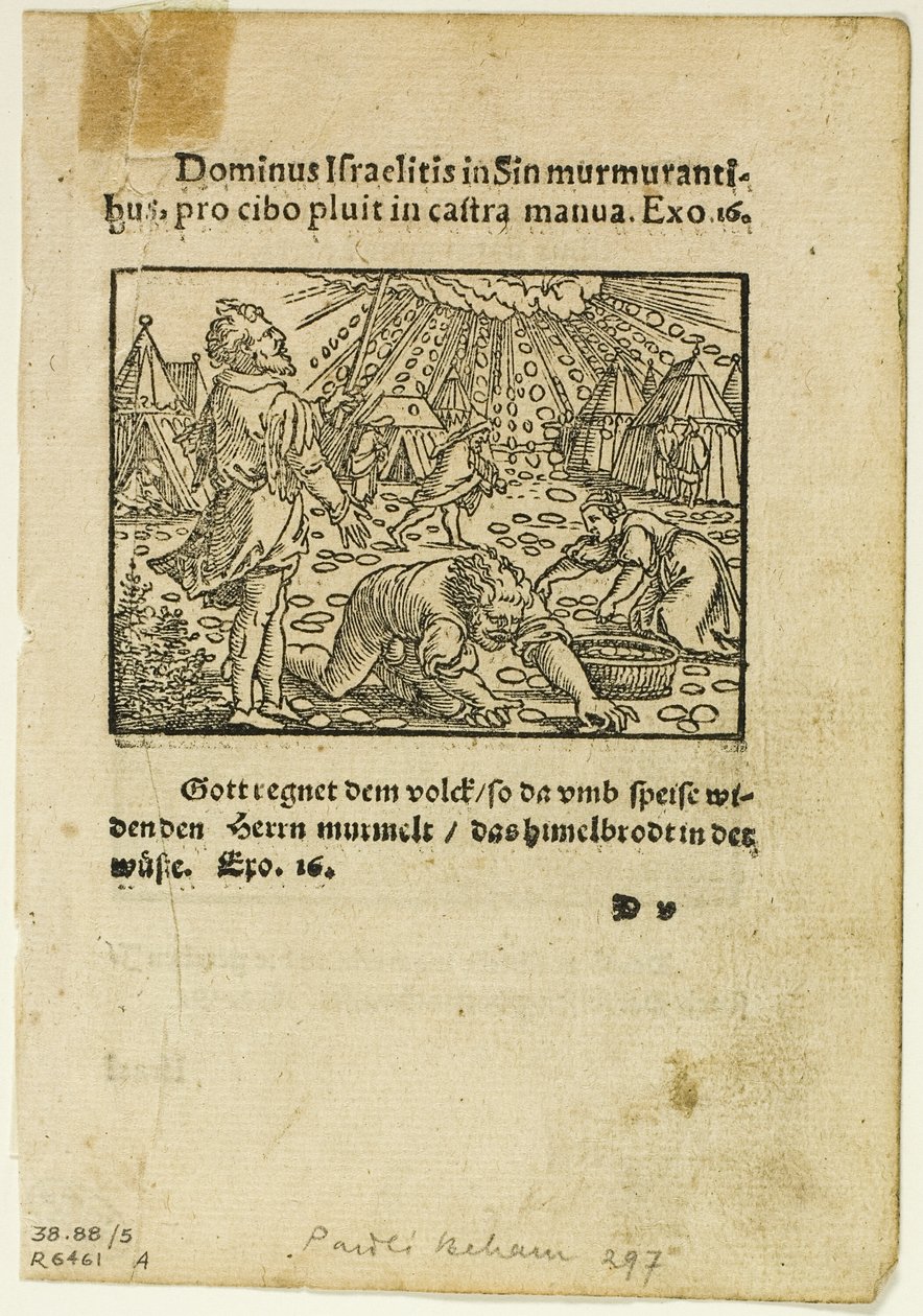 Manna-regnet från Biblische Historien Künstlich fürgemalt, plansch fem från Woodcuts from Books of the XVI Century av Hans Sebald Beham