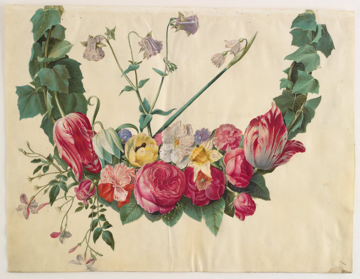 Blomma vinstockar av Hans Simon Holtzbecker