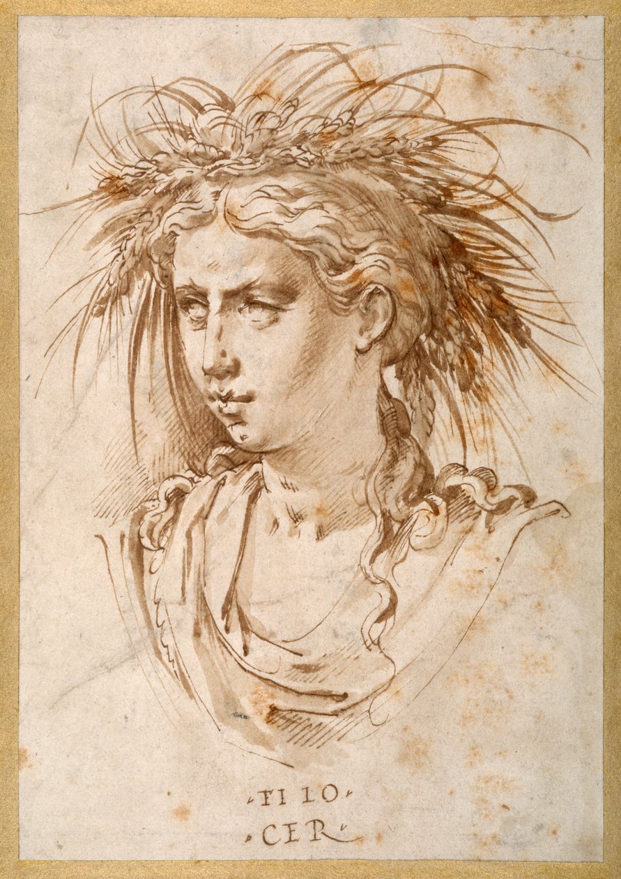 Head of Ceres (penna & brunt bläck på papper) av Hans Speckaert