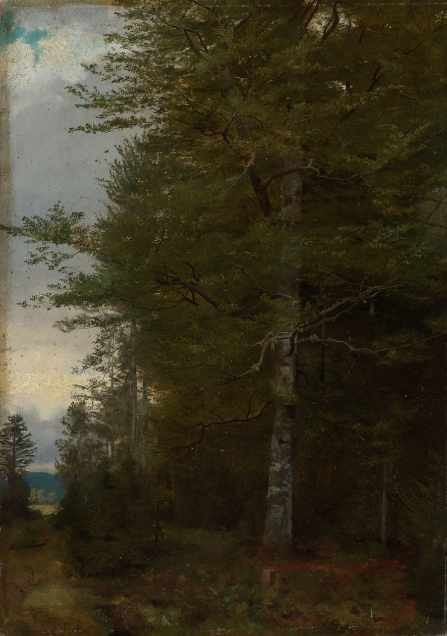 Bok vid skogsbrynet av Hans Thoma