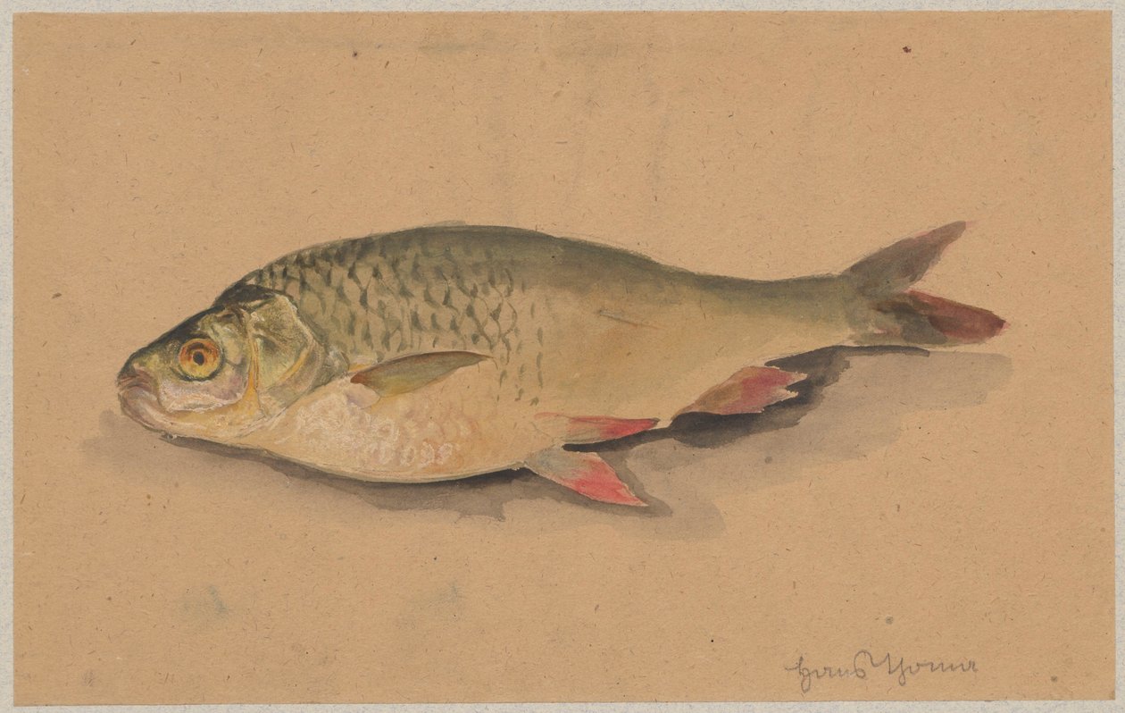 Fisk av Hans Thoma