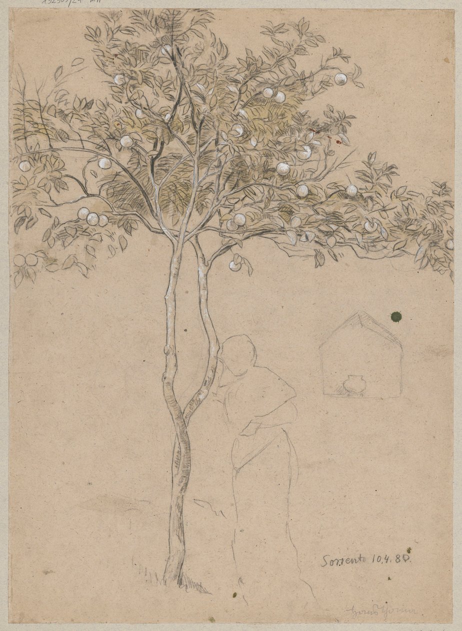Studie av ett apelsinträd från trakten kring Sorrento. Kontur av en kvinnlig figur av Hans Thoma