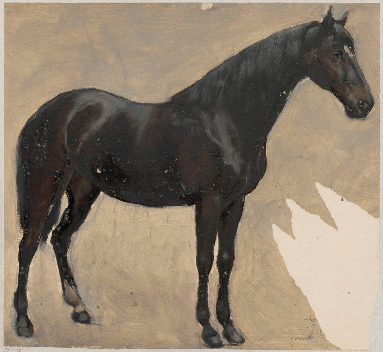 En studie av hästen av Hans Thoma