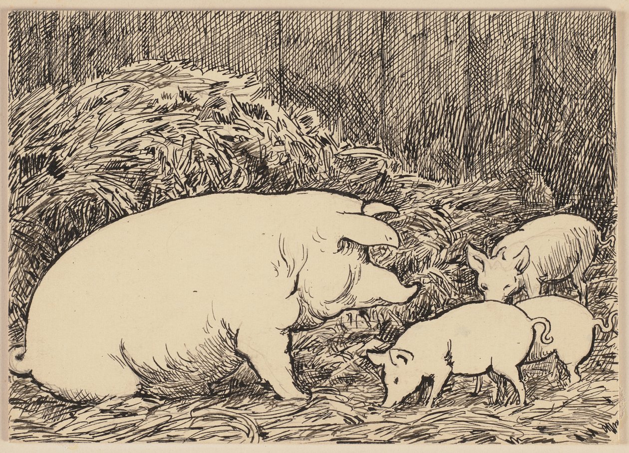 Illustration till läroboken: Gris av Hans Thoma