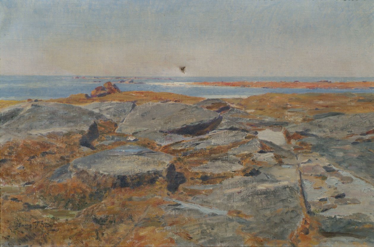 Studera av Concarneau av Hans Tichy