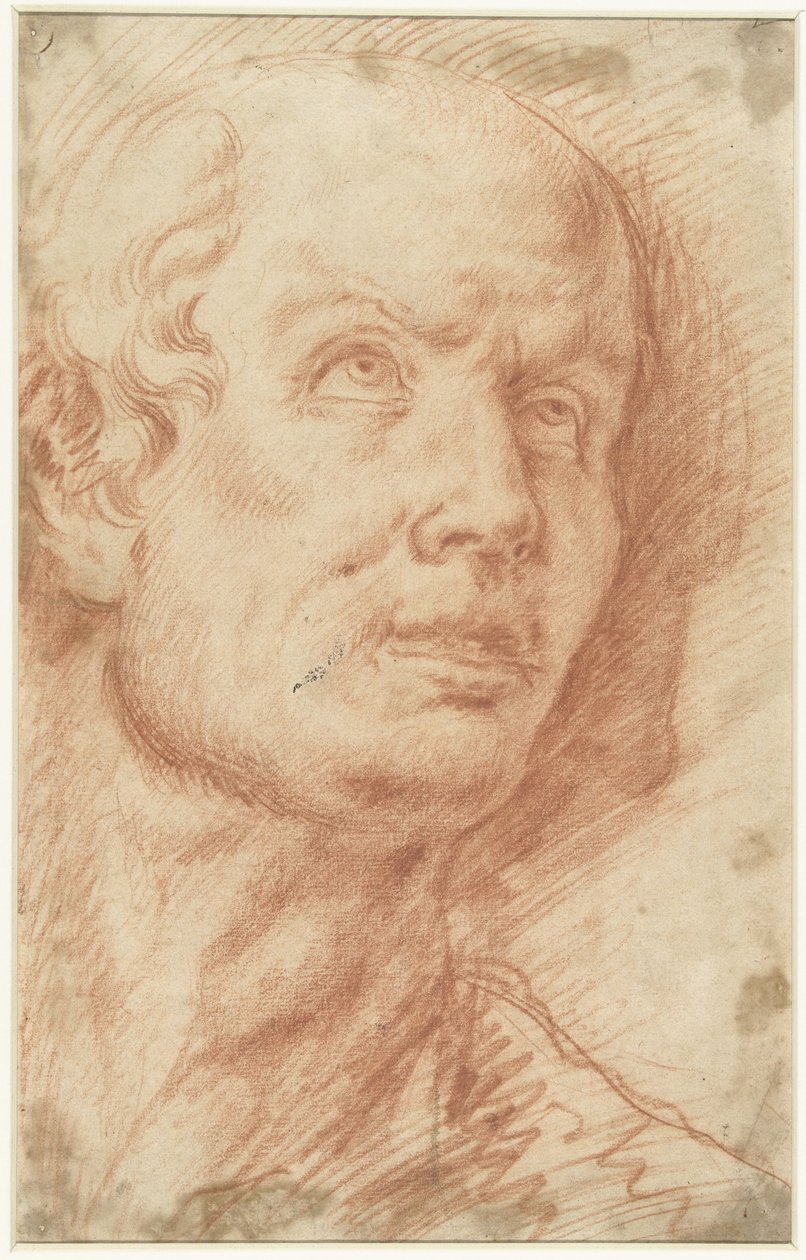 Mans huvud med en uppåtblick av Hans Troschel (possibly)