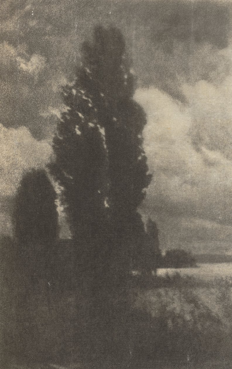 Kameraarbete: Poplar och moln av Hans Watzek