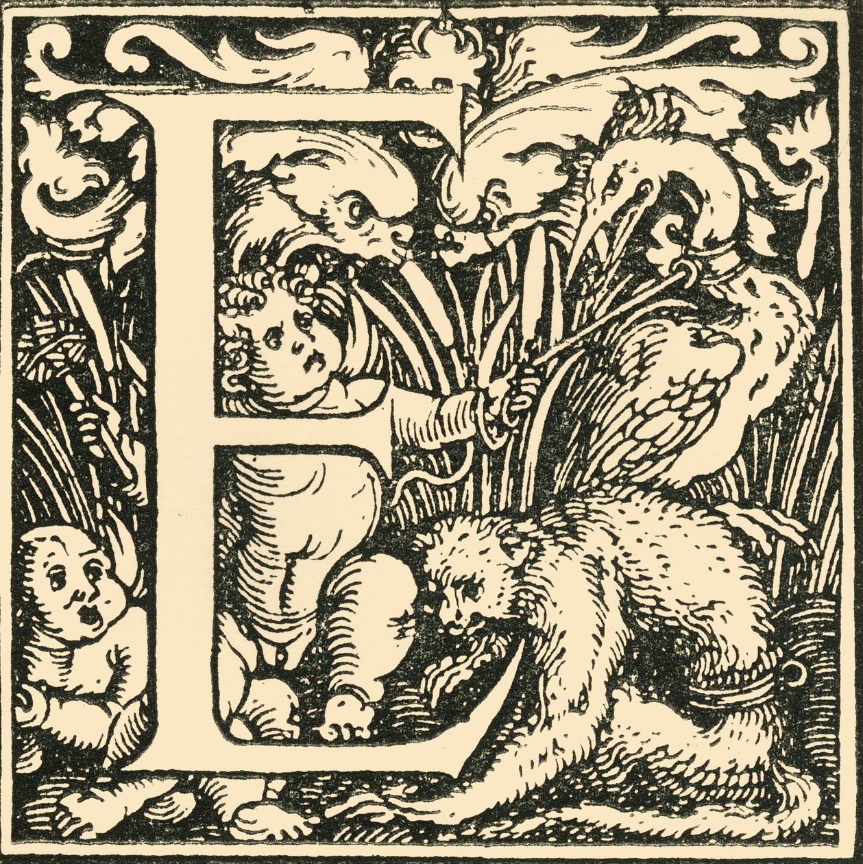 E - An Alphabet av Hans Weiditz, c1520-1521, 1908. av Hans Weiditz