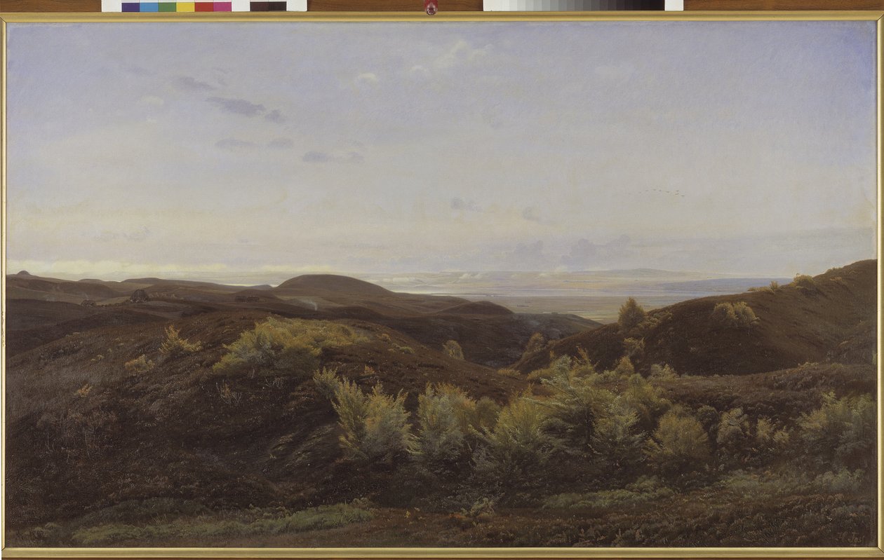 Heather Hills nära Rye, Jylland av Harald Foss