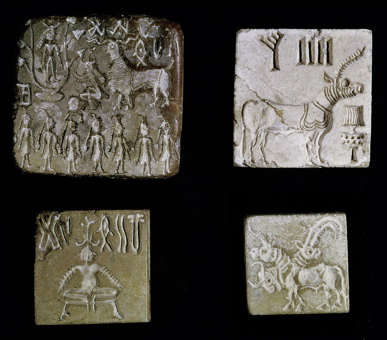 Fyra sigill föreställande mytologiska djur, från Mohenjo-Daro, Indusdalen, Pakistan, 3000-1500 f.Kr. av Harappan