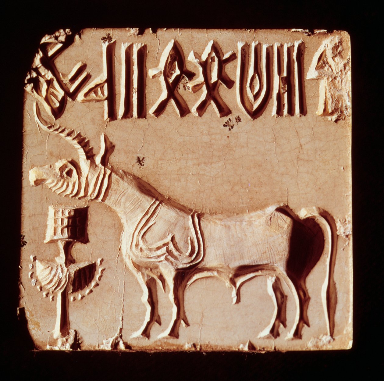 Sigill föreställande ett mytologiskt djur och piktogramsymboler, från Mohenjo-Daro, Indusdalen, Pakistan, 3000-1500 f.Kr. av Harappan