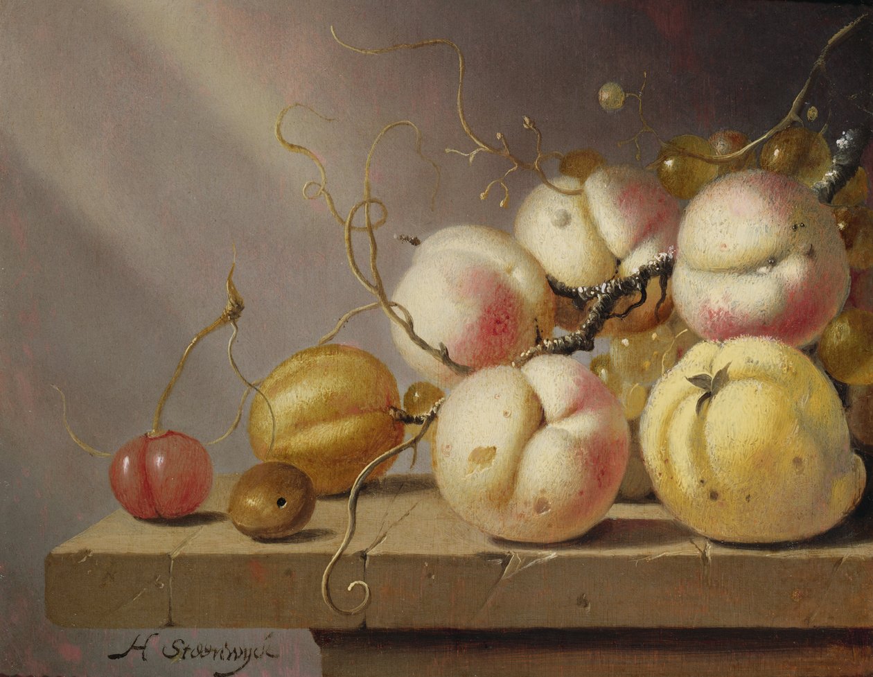 Stilleben av frukt på en avsats (panel) av Harmen van Steenwyck