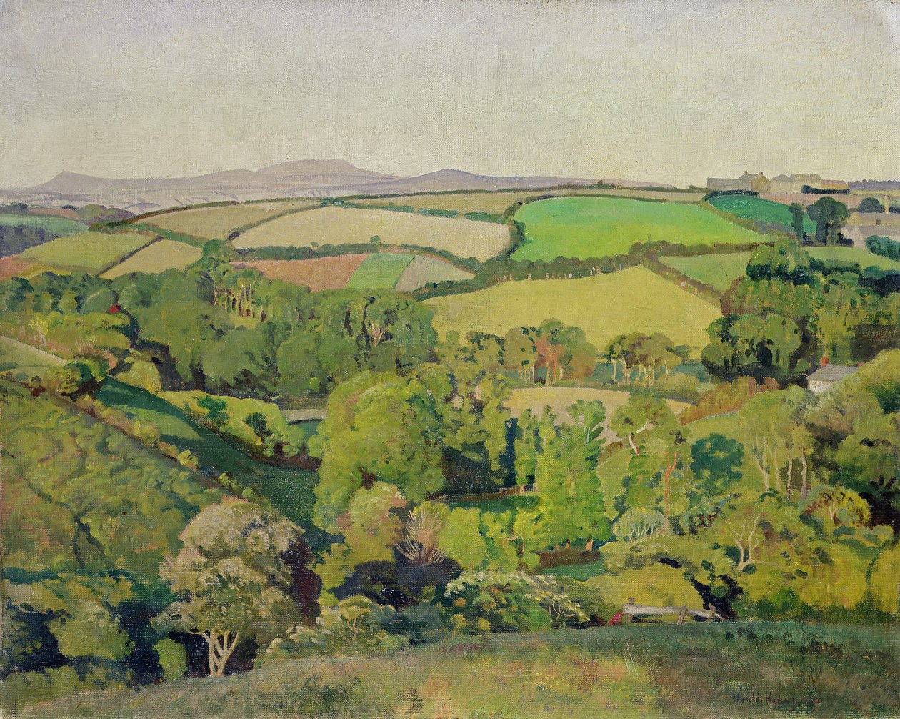 Drift Valley (olja på duk) av Harold Harvey