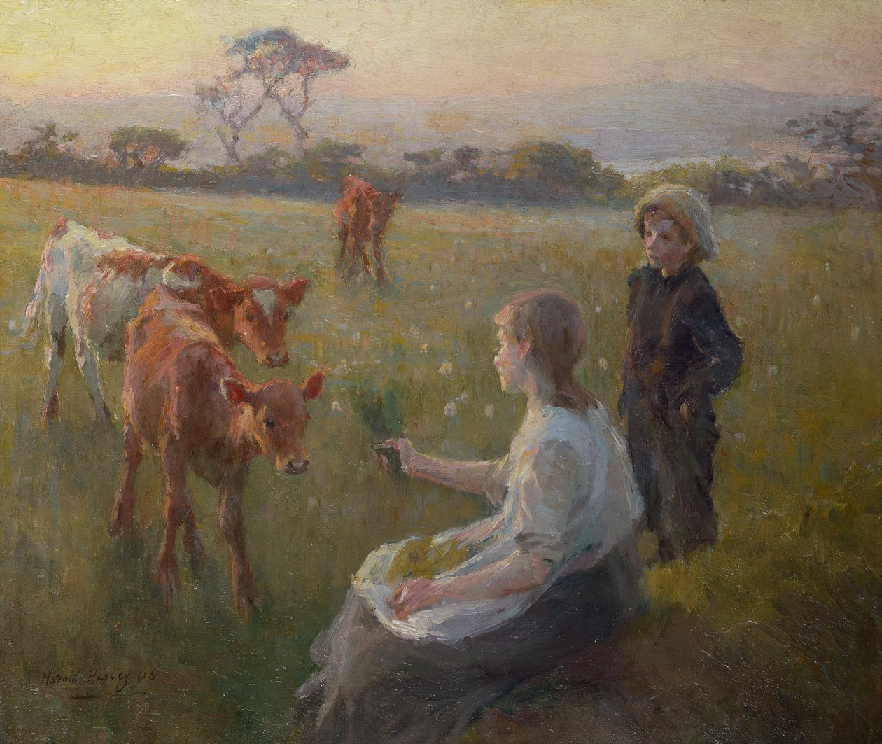 Mata kalvarna av Harold Harvey