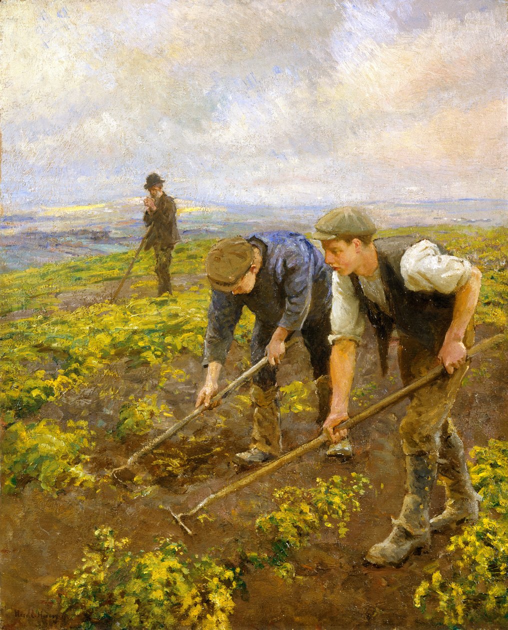 Höja ovanför Mount