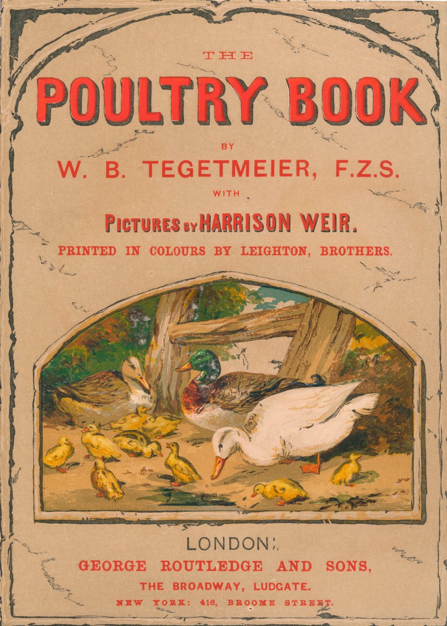 Fjäderfäboken, 1867. av Harrison Weir