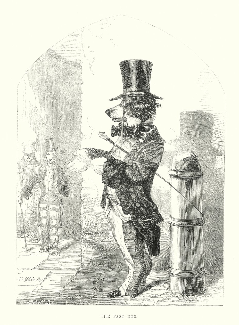 Roliga hundar: Den snabba hunden (gravyr) av Harrison William Weir